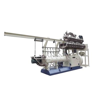 China Factory Construction Rational Parallel Com Food Twin Automatic Blown Screw Extruder for sale