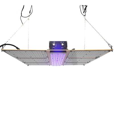 China Seed Starting KUNSIND Dimmable Full Spectrum Quantum Led Grow Light With Timing Function Independent IR UV Regulating Dish For Herbal Medicines for sale