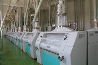 Verified China supplier - Shandong Sishui Taifeng Flour Machinery Co., Ltd.