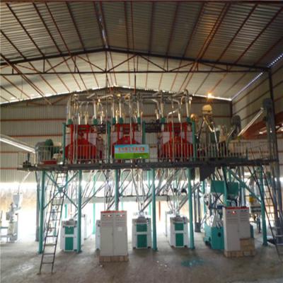 China Grain Processing Line 100-120 t/d wheat flour mill good qualited mills for sale for sale