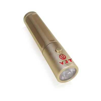 China Portable Red Red Stainless Steel Light Therapy Torch 660NM 850NM Timer Function LED Light PDT Machine for sale