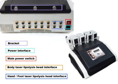 Китай Машина AC120V 230V уменьшения сала/целлюлита липосакции лазера Tabletop продается