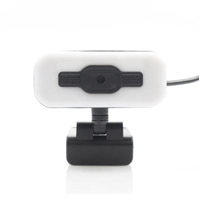 China Hot 2021 Conference Webcam 1080P Auto Focus USB Webcam with Microphone and Speaker W09 for sale