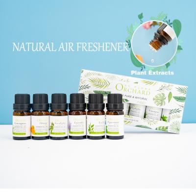 China Private Label OEM Air Freshener Aroma Lavender Essential Oil Sustainable Natural Air Freshener 6 Viable in 1 Set for sale