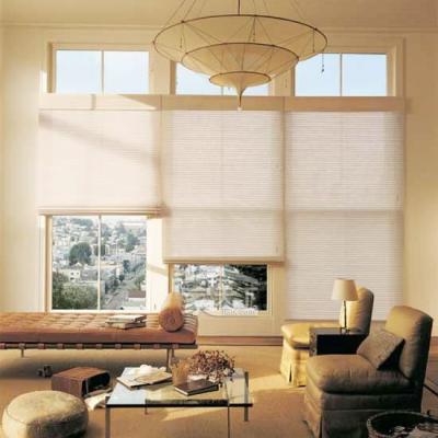 China Anti-bacteria / Fireproof Residential Privacy Decorate Window Shade Top Down Bottom Up Honeycomb Blinds for sale