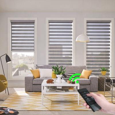 China Blocking Sunlight Automatic Smart Home DC24V Motorized Zebra Remote Control Waterproof Blinds for sale