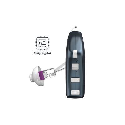 China China Purchase ABS Rechargeable Multi Channel WDRC Digital Chip Ear Hearing Amplifier USB RIC Hearing Aids Deaf Invisible for Deaf for sale