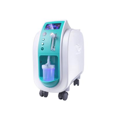 China 1L Oxygen Concentrator Household Home Use Medical Healthcare Use Spraying Value 1l Machine Oxygen Concentrator for sale