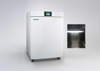 China LCD Touch Screen Carbon Dioxide Incubator Cell Culture Box  0～20% CO2 Range for sale