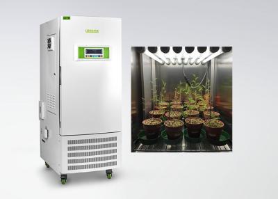 China Benchtop Plant Growth Chamber Climate Incubator Intelligent Control for sale