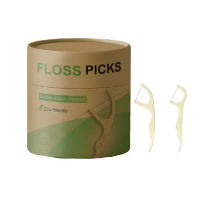 China For Home Use Wholesale biodegradable charcoal adult mint flavor colored teeth deep clean dental floss pick for sale