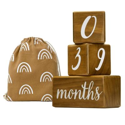 China Europe W00DNB Monthly Milestone Month Photo Prop Premium Solid Wood Block Set Baby Milestone Blocks for sale