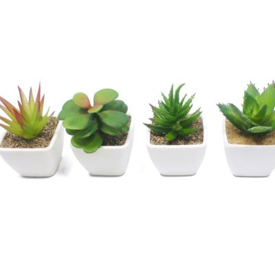 China CLASSIC Plastic Simulated Green Plants Mini Artificial Succulents Bonsai, Home Office Decoration Potted Small Fake Succulent Plants for sale