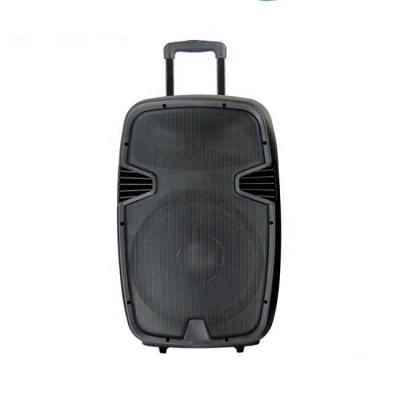 China Wireless System 10 Inch Portable Subwoofer Trolley Audio Speaker For Amplifier Outdoor Loudspeaker for sale