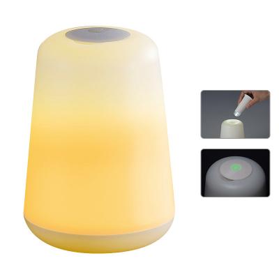 China 2 in 1 Piece Multifunctional LED Torch and LED Rest Mini Night Light For Baby Decorative Use for sale