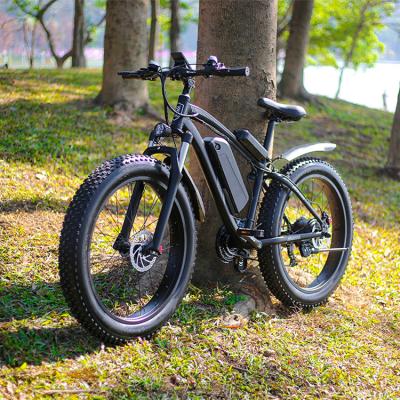 China Max Fat Aluminum Alloy Dual Battery Tire Mountain Bike Vintage Bici Eletrica 2 Seat Electric Beach Cruiser for sale