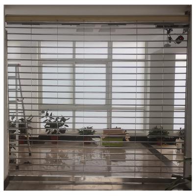 China Chosen Mode Anti-theft And Artistic Anti-theft Security Grille Rolling Door for sale