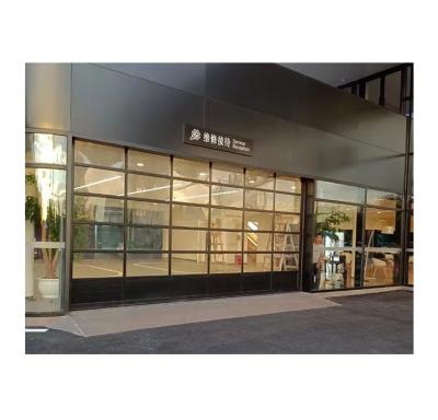 China Anti Theft Cheap Automatic Residential See Glass Aluminum Sectional Garage Door for sale