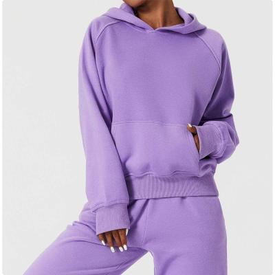 China Winter QUICK DRY High Quality Fleece Hoodies Sweatshirt Fitness Workout Warm Sweatshirt For Women for sale