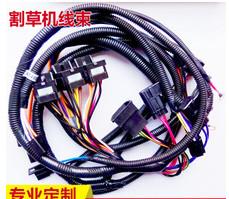 China OEM auto  ECU cable auto harness with waterproof automotive wire assembly en venta