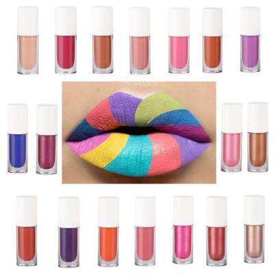 China Waterproof Makeup Suppliers China Lipstick Private Label Long Lasting Liquid Matte Lip Gloss for sale