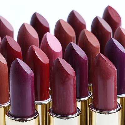 China Wholesale Waterproof Permanent Makeup 30 Color Natural Vegan Cosmetic Waterproof Custom Velvet Matte Lipstick Luxury Lipstick for sale