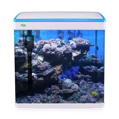 China New style mini desktop viable aquarium glass aquariums made in China for sale