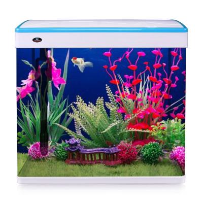 China High Security Sustainable Cylinder Mini Aquarium Custom Fish Tank With High Quality for sale