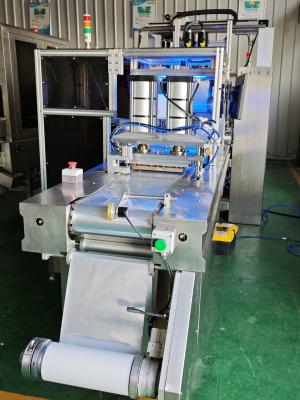 China Packaging Equipment for Absorbing Surgical Suture Blister Sealing Packaging Line for sale