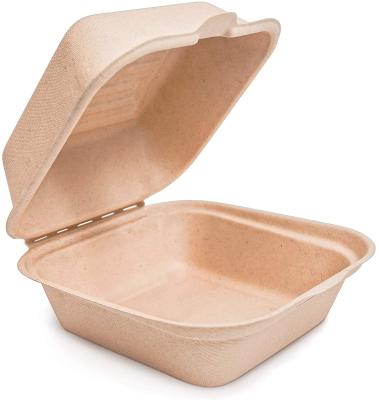 China 100% Compostable Food Container Single Compartment With Hinged Lid Eco Friendly Square Clamshell for sale