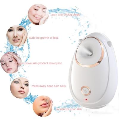 China Portable Face Nano Ionic Home Spa Steam Machine Humidifier Facial Massage DEEP CLEANING Steamer for sale