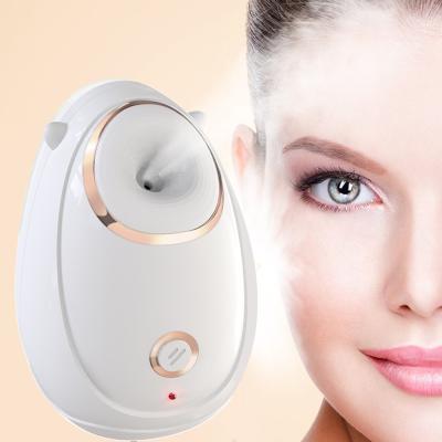 China Mini Mist Portable Face Humidifier DEEP CLEANING Nano Steamer Moisturizing Facial Steamer for sale