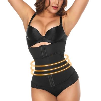 China Antibacterial Custom Logo Waist Cincher Cheap Price One Belt Plus Size Women Waist Trainer Belt Front Zipper Workout Waist Trainer for sale