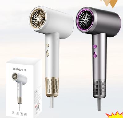 China Hotel and Household High Speed Hair Dryers Blowers Silver With Warrenty for sale