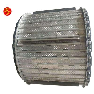 China Single Operation Belt Hinge Sprocket 31.75 Stainless Steel Belt Conveyor Plate Stainless Steel Chain Conveyor for sale