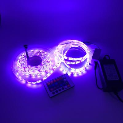 China Indoor and Outdoor Decorative Lighting SMD 5050 Smart WiFi 12V RGB LED Lamp Waterproof Strip for sale