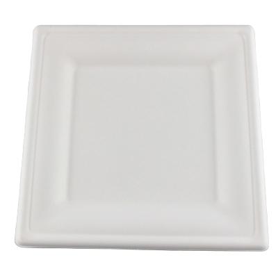 China Biodegradable manufacturers direct sale biodegradable dish with customization biodegradable food container sugarcane dishes for sale