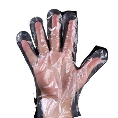 China Disposable Pig Farm PE Gloves for Farmer US for Boar Station Semen Collection for sale