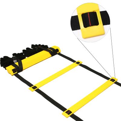 China For Football Soccer Football Sports Speed ​​Agility Ladder Training Equipment Agility Training Set With 6M 12 Rungs for sale