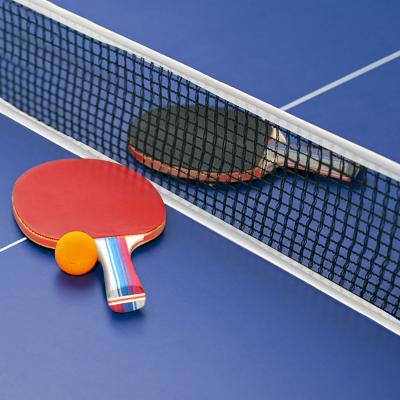 China Ping Pong Game Practice Ping Pong Rackets Set Ping Pong Net and Paddle Set for Indoor or Outdoor Home Play for sale