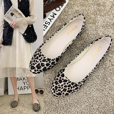 China 2020 Fashion Trend Leopard Print Women's Shoes Flat Shoes Hot Mockups - C1-A6 for sale