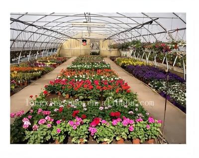 China Greenhouse Film Cooler Hot Sale Greenhouse Film UV Resistant Greenhouse Film for sale