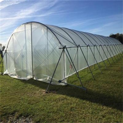 China For greenhouse covering single-span greenhouse film white clear agricultural plastic sheet UV treated for tomato breeding for sale