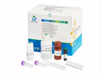 China Acrosin Kit Male Infertility Test, fertilidade Kit For Men de Spermcheck à venda