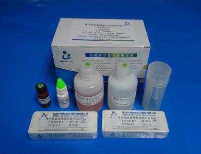 China Kit For Determinate Protein Tyrosine-Phosphorylation Te koop