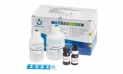 China Van de het Hormoontest van Mullerian van de serumanalyse de Antiuitrusting AMH CLIA Kit For Adult Females Te koop