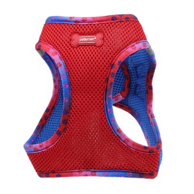 China Personalized Dog Products Innovations Pet Accessories Dog Harness Set Custom Set Personalized Dog Harness Luxury Wholesale Custom Logo for sale