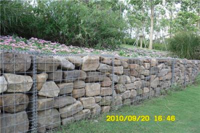 China 60x60 galvanisierte Gabions-Kästen, die Garten-Käfige für Steine behalten zu verkaufen