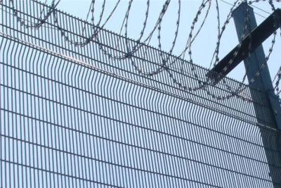 China 1.8 m Hot Dipped Galvanized Welded Wire Mesh Fence Panel PVC Coated Green Fence Panels Top With Barbed Wire for sale