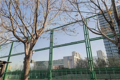 China Tennis Court Chain Link Fences 10 Ft High Vinyl Coated Black Or Green Fro Market for sale